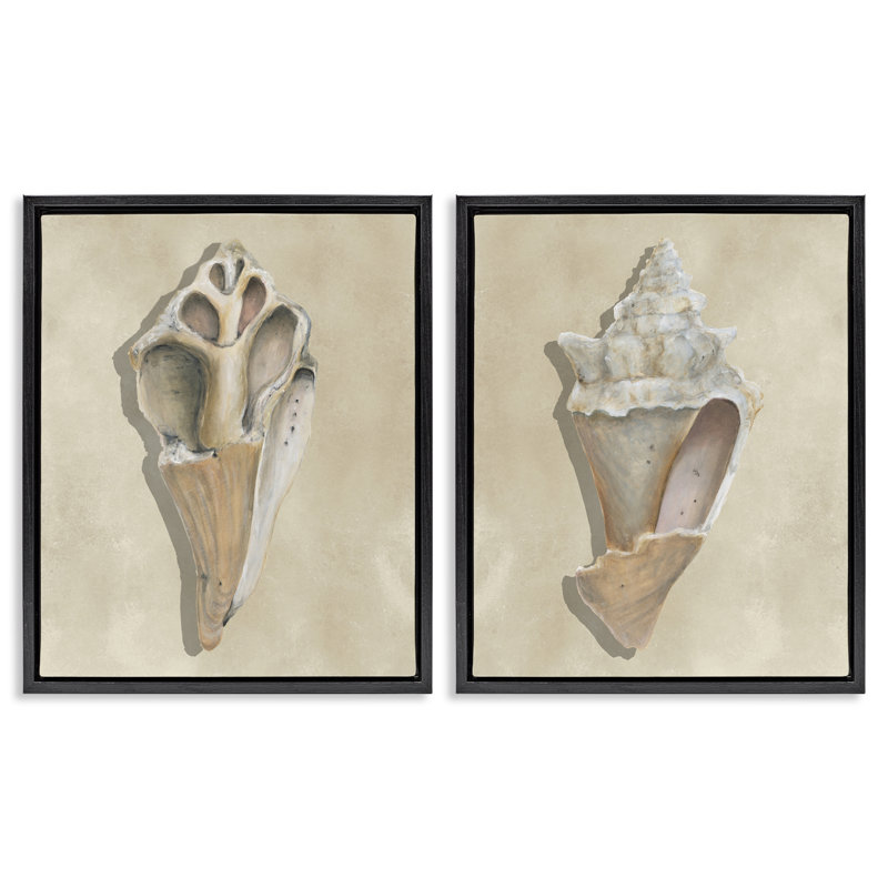Ensemble de 2 toiles flottantes Broken Beach Shells, design par Michael Willett, Cadre flottant noir de jais