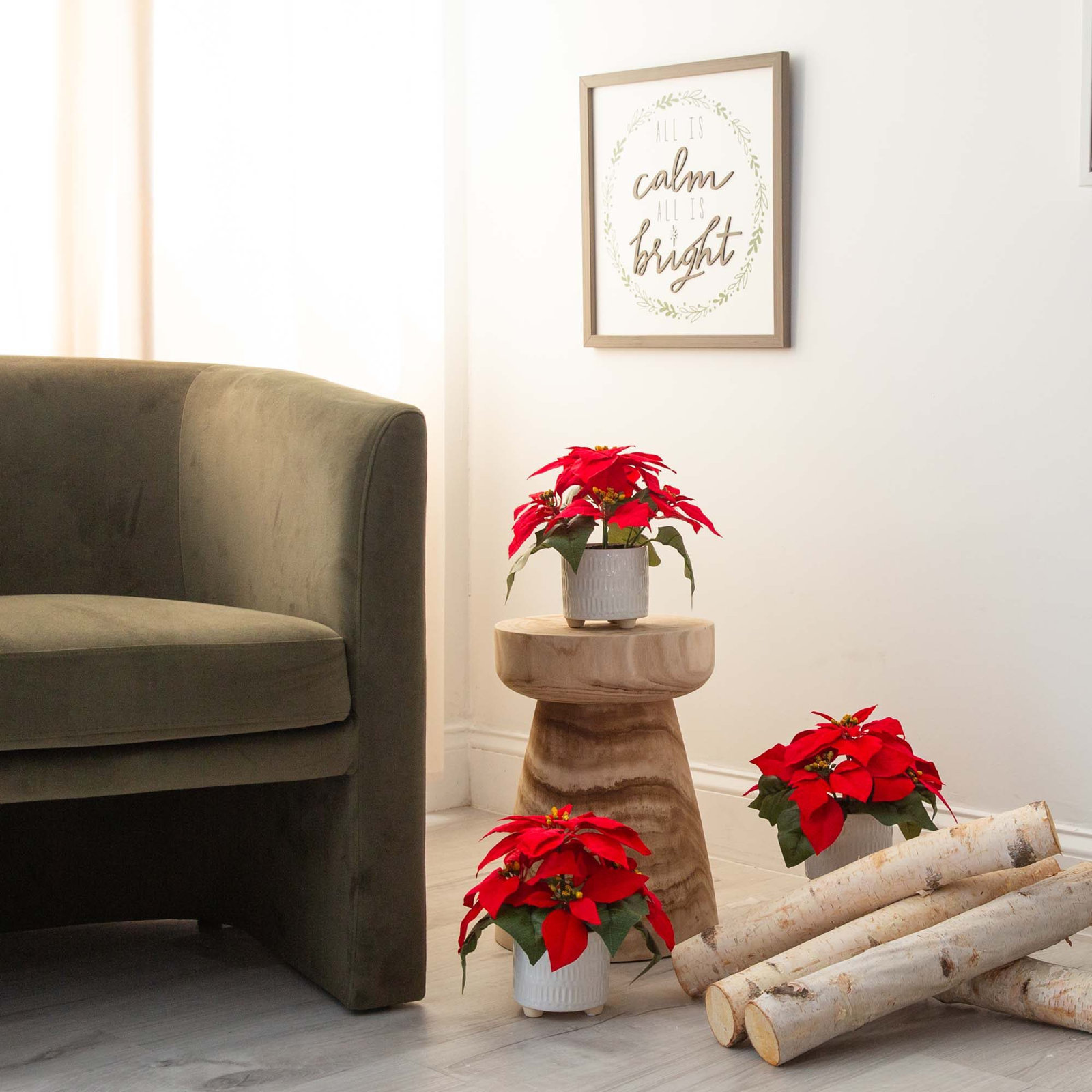 8" Poinsettia Plant in Planter