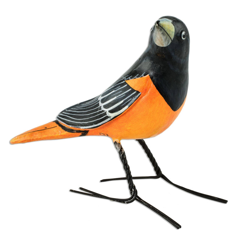 Rustemi Baltimore Oriole