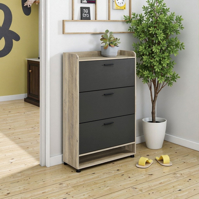 Armoire de rangement à chaussures à 3 niveaux H 49,75 po x l 31,5 po x P 11,5 po pour le hall d'entrée et le couloir, Gris