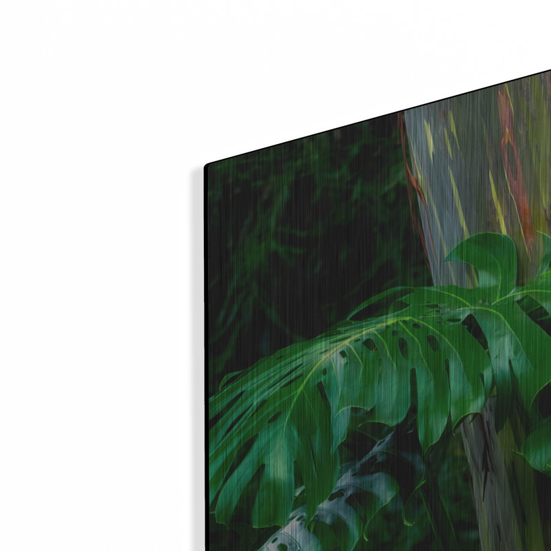 «Tropical Leaves» par Dennis Frates, H 24 po x l 36 po