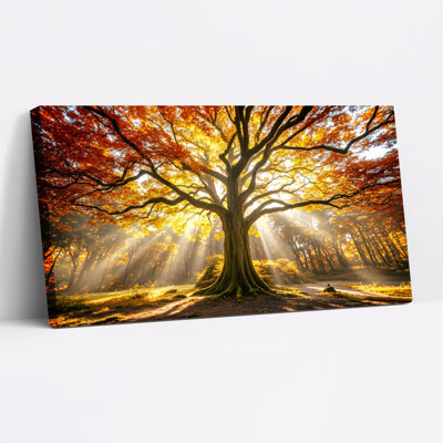 Autumn Tree Sunlight Forest Canvas Wrapped Wall Art Oil Painting Print Set Of 1