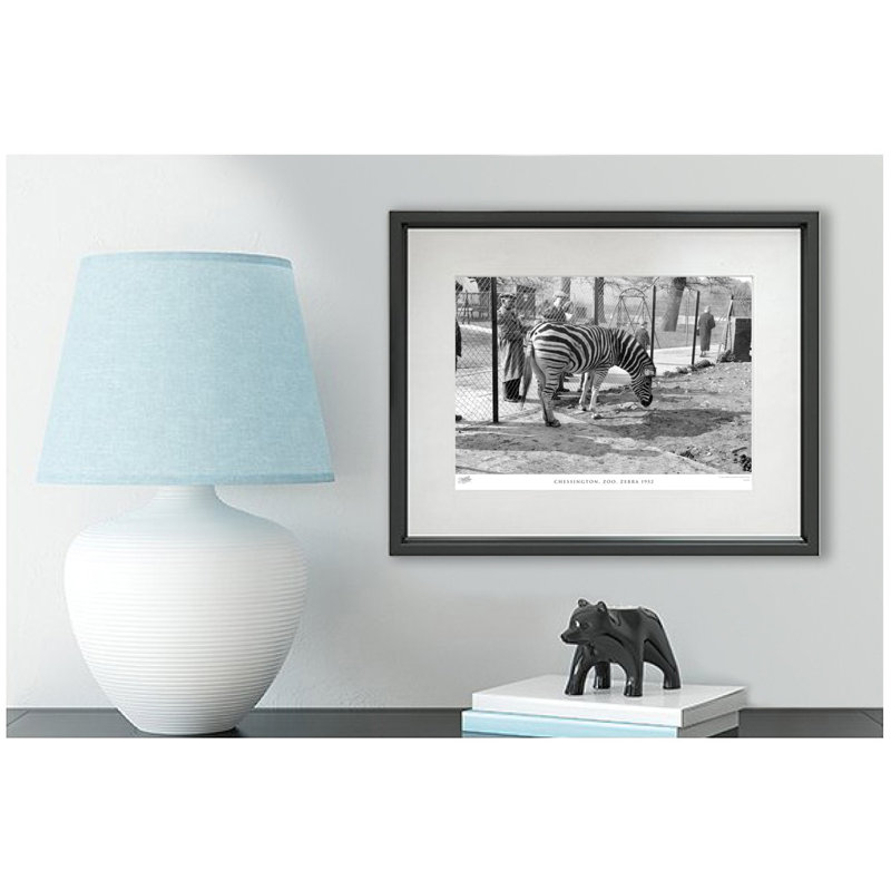 Chessington, Zoo, Zebra 1952 by Francis Frith - Single Picture Frame Print, 40cm H x 50cm W x 2.3cm D