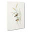 Square-Tailed Warbler by Elizabeth Gould - Wrapped Canvas-55318756