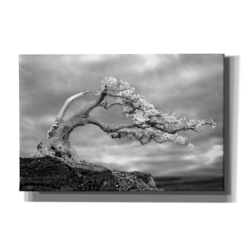 «Bonzai» par Mike Jones - reproduction d'art sur toile tendue, H 12 po x l 18 po x P 0,75 po