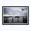 Gull Gathering Print