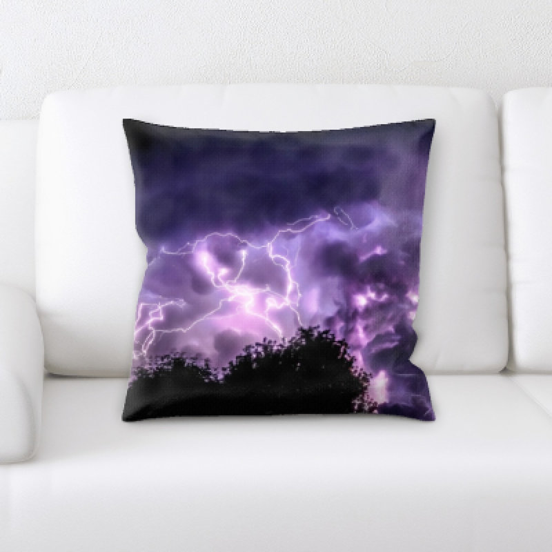 Weinberger Microsuede Throw Pillow