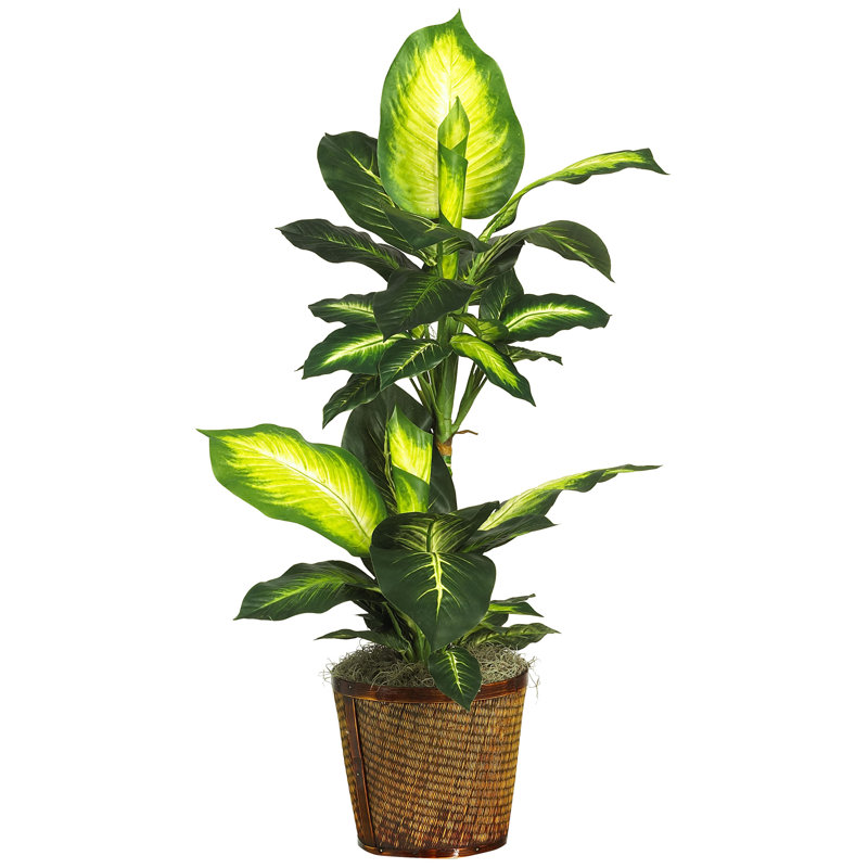 Plante de feuillage artificielle 42 po dans un panier