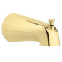 Polished Brass