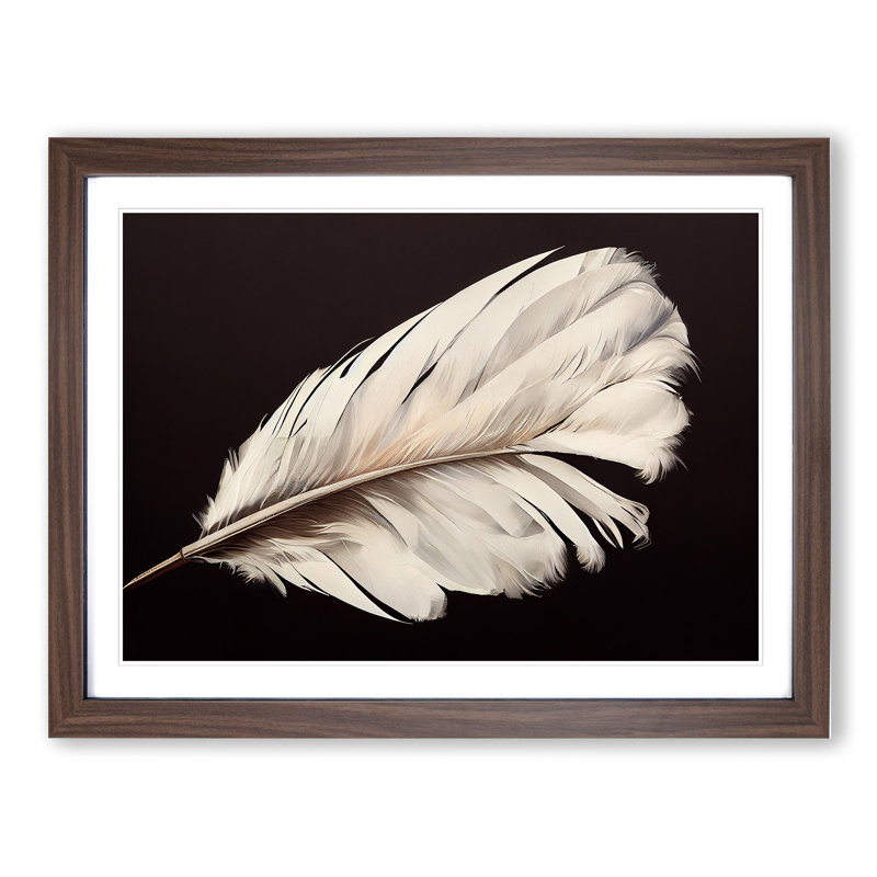 Bird Feather - Single Picture Frame Print, 46cm H x 64cm W x 2cm D, Walnut Framed