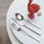 Linea Q 5 - Piece Stainless Steel Flatware Set - Service for 1