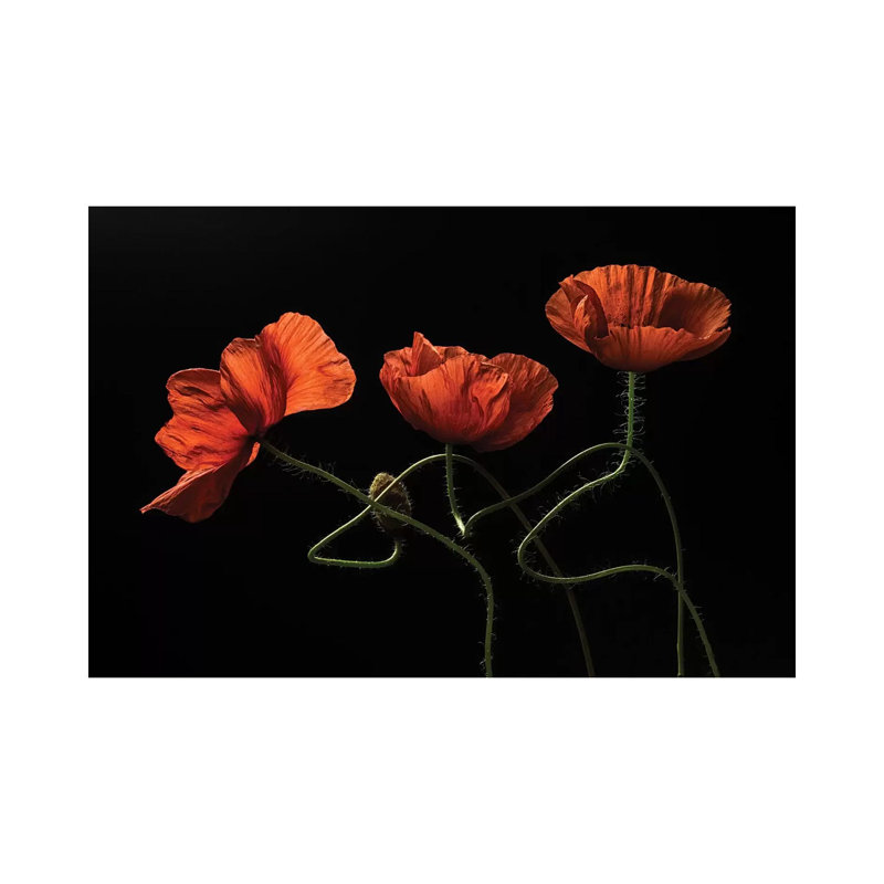 Around Midnight #2 by Lenka - Print on Canvas, 30.48cm H x 45.72cm W x 1.91cm D, Wrapped Canvas