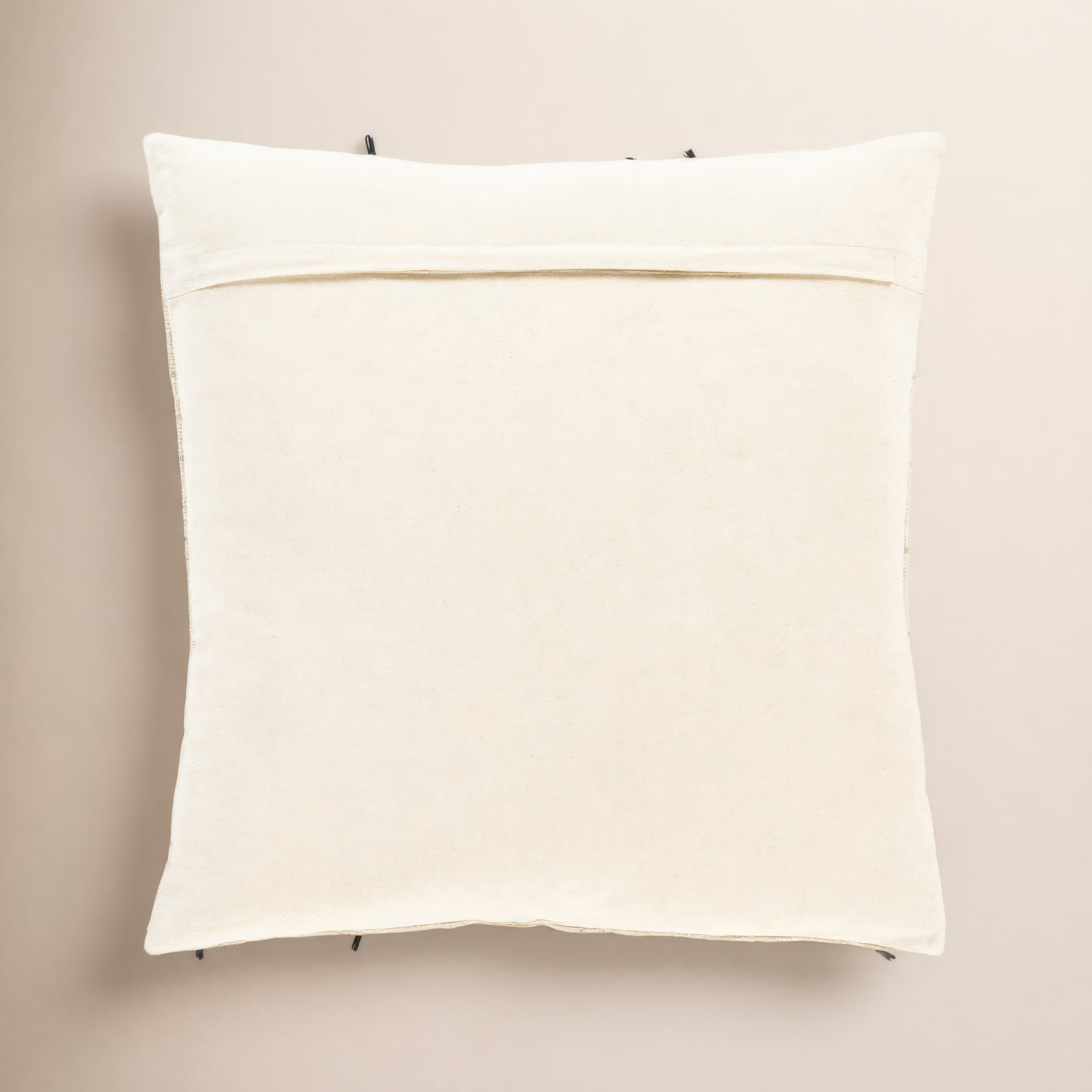 Santina Tassels Cotton Throw Pillow, 22" x 22", Pillow Cover Only - No Insert