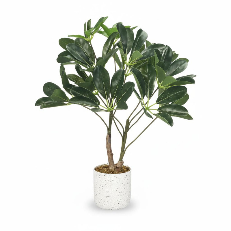 Faux arbre parasol Schefflera avec pot de fleurs, 15,75 po x 3,6 po