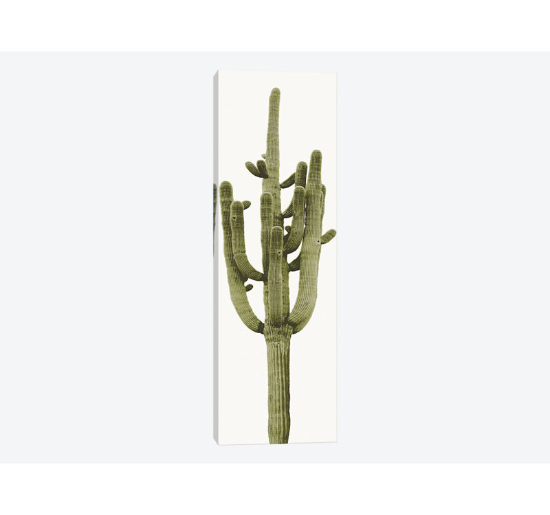 «Saguaro Cactus II» par Mia Jensen, impression sur toile tendue, H 36 po x l 12 po x P 1,5 po, Toile tendue
