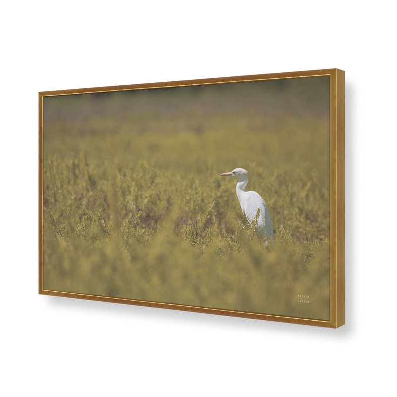 «Everglades National Park» par Nathan Larson, reproduction d'art, H 20 po x l 30 po, Or
