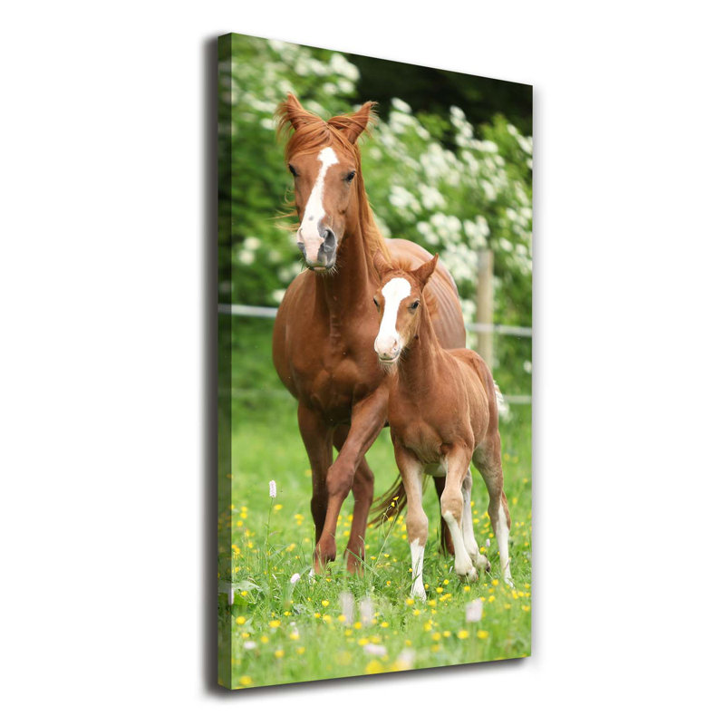 Mare And Foal - Wrapped Canvas Print