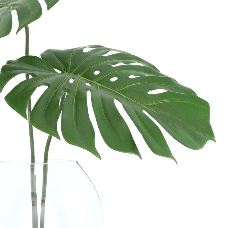 Split Philodendron Leaves In Glass Vase