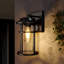 Schlesinger Seeded Glass Outdoor Wall Light-859661422