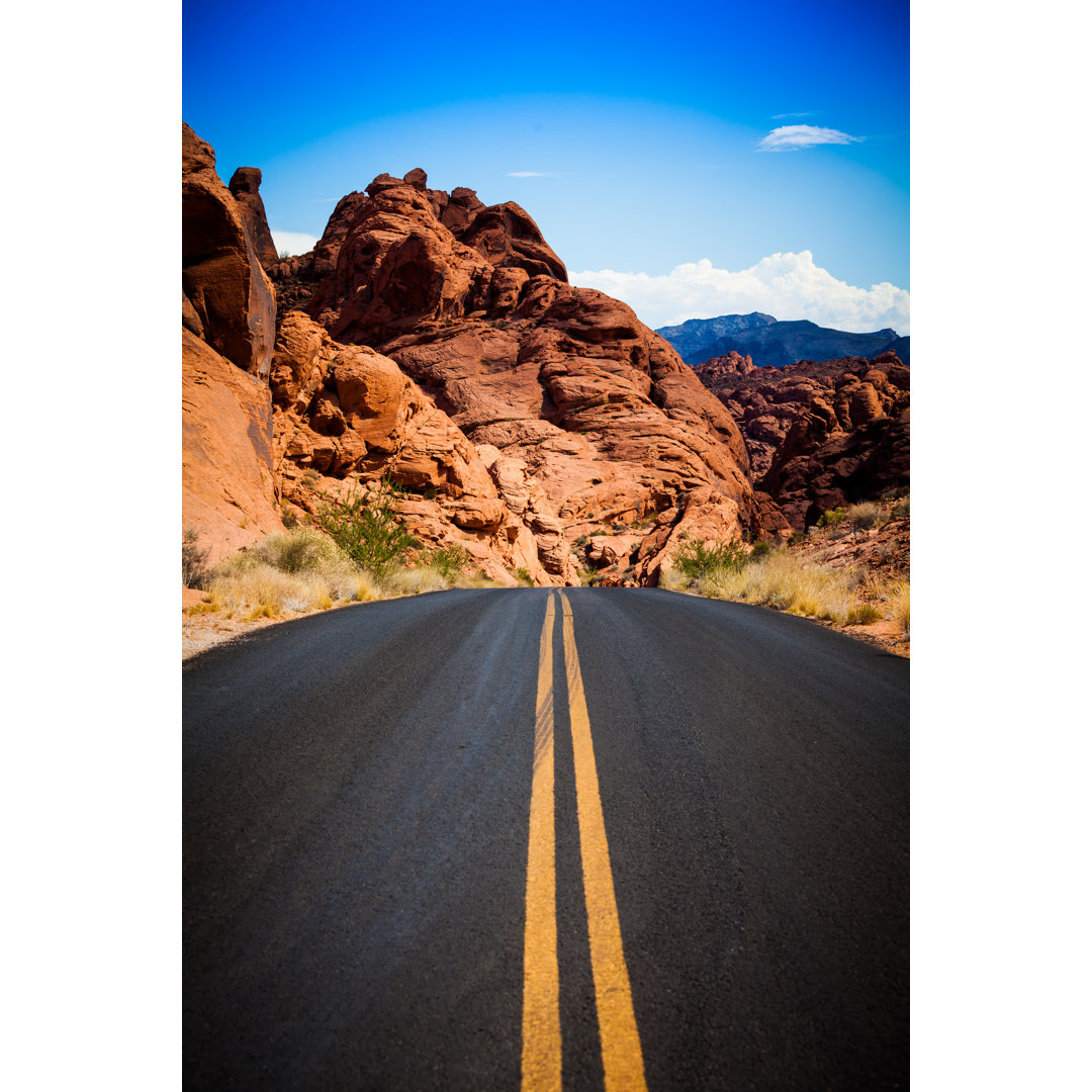 Road Crossing The Valley Of Fire State Park, Nevada von Zodebala - Druck auf Leinwand ohne Rahmen