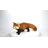 Red Panda Cub Walking