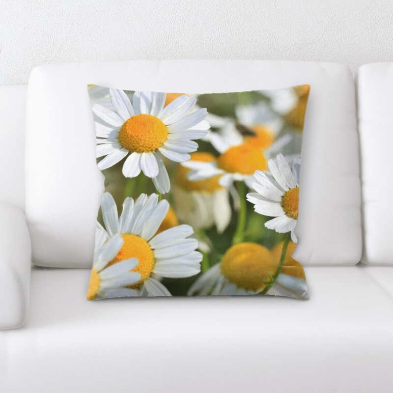 Coussin camomille