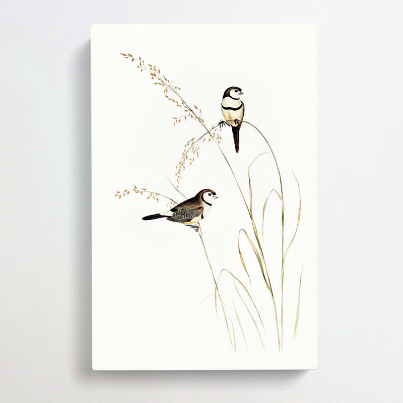 Double-Barred Finch by Shibata Zeshin - Wrapped Canvas, 60cm H x 40cm W x 3cm D