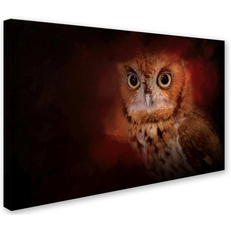 «Owl» de Vidur, impression sur toile tendue, 16 po x 24 po