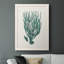 Angecourt Antique Coastal Coral VIII, reproduction d'art sur toile encadrée-88399723-88399722