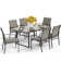 Sutiya 6 - Person Metal Patio Dining Set with Rectangular Table