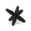 Cric Calix-100668031