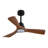 Modern Ceiling Fan With Light 3 ABS  Blades Remote Control Reversible DC Motor With Dimmable LED