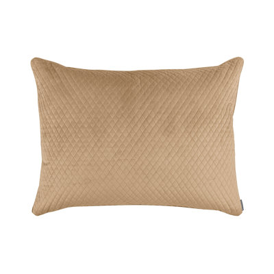 Valentina Velvet Rectangular Pillow Cover & Insert