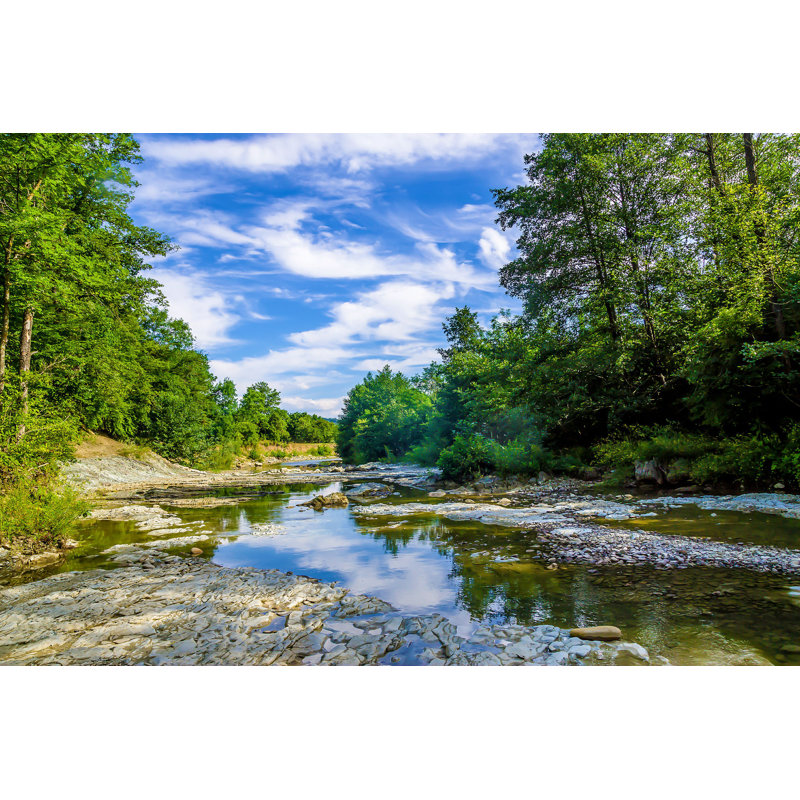 Martina Forest River Landscape par Leningrad - photographie sur toile tendue, H 8 po x l 12 po