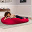Fauteuil à billes et chaise longue Nimbus Spandex-14691615