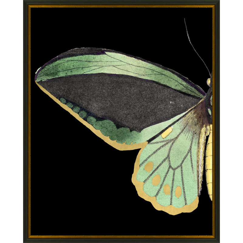 Gilded Wing 1 Print
