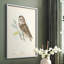 «Little Owl», reproduction encadrée - bois massif-1818825010-1818825012