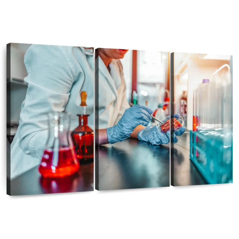 Keiri Laboratory, 48" H x 74" W