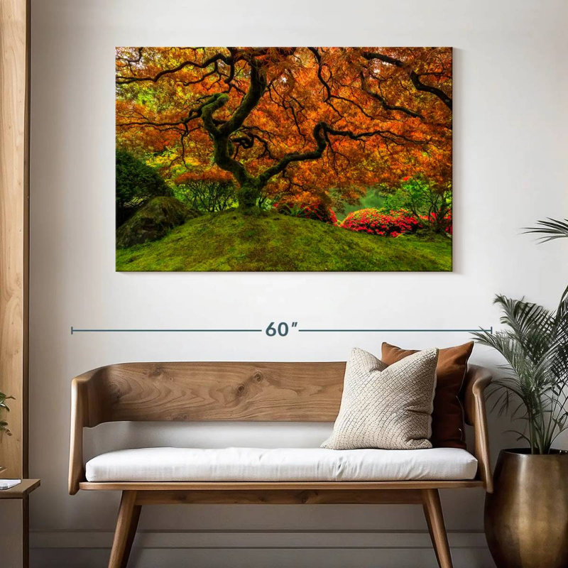 Harnek Mossy Japanese Maple, 32" H x 48" W