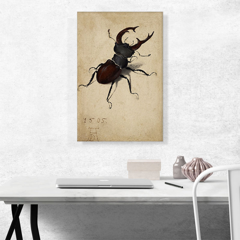 «Stag Beetle 1505» par Albrecht Dürer, reproduction d'art sur toile tendue, H 26 po x l 18 po x 1,5 po