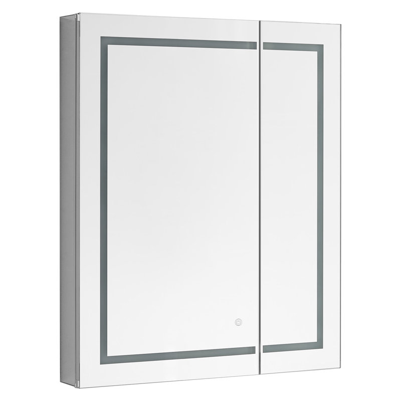 Armoire à pharmacie avec désembueur à DEL 30 po x 36 po x 5 po Wrightsville, gradateur, miroir grossissant à DEL réglable 3X, prises électriques.