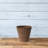 Carrero Pot Planter-579612686-579612682