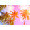 «Millcreek Tropical Landscape with Palm» par Slavadubrovin - photographie sur toile tendue