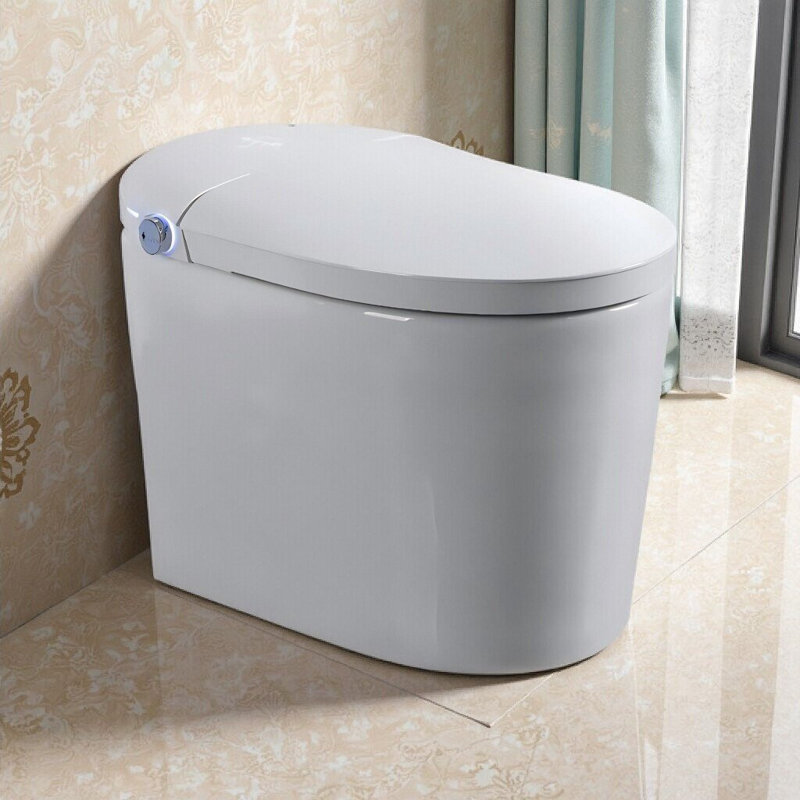 Smart One-Piece Tankless Toilet With Bidet, Heated Seat, Auto Flush & Remote Control