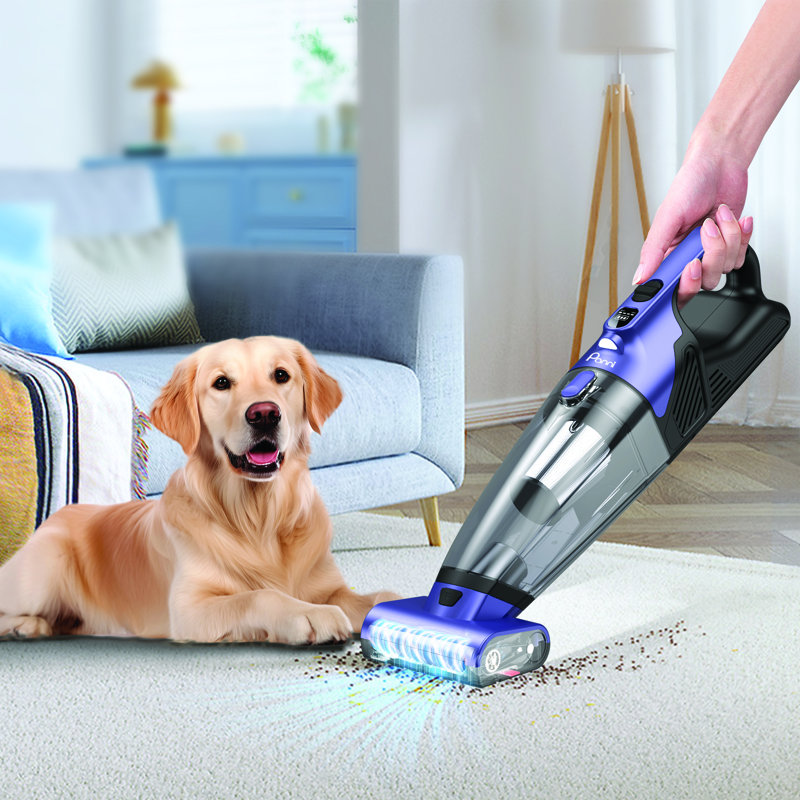 Aspirateur à main sans fil Panni pour animaux de compagnie avec brosse motorisée, pour la maison et la voiture, H5398P
