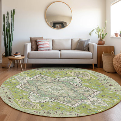 Machine Washable Indoor/Outdoor Chayden ACN1036 Rug