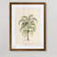 « palmierss iii » par paul cezanne-reproduction d’art sur image-300102808-357981005-357980995