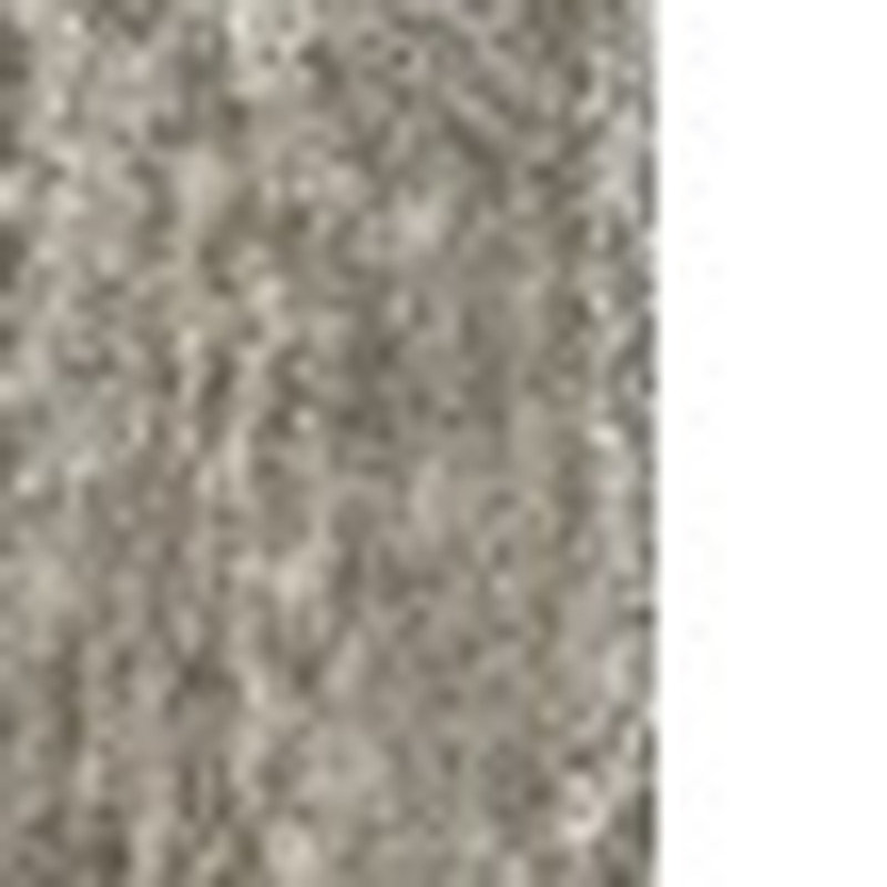 HomeRoots Area Rug