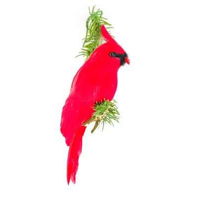 Ensemble d'ornement cardinal à plumes rouges, paquet de 4