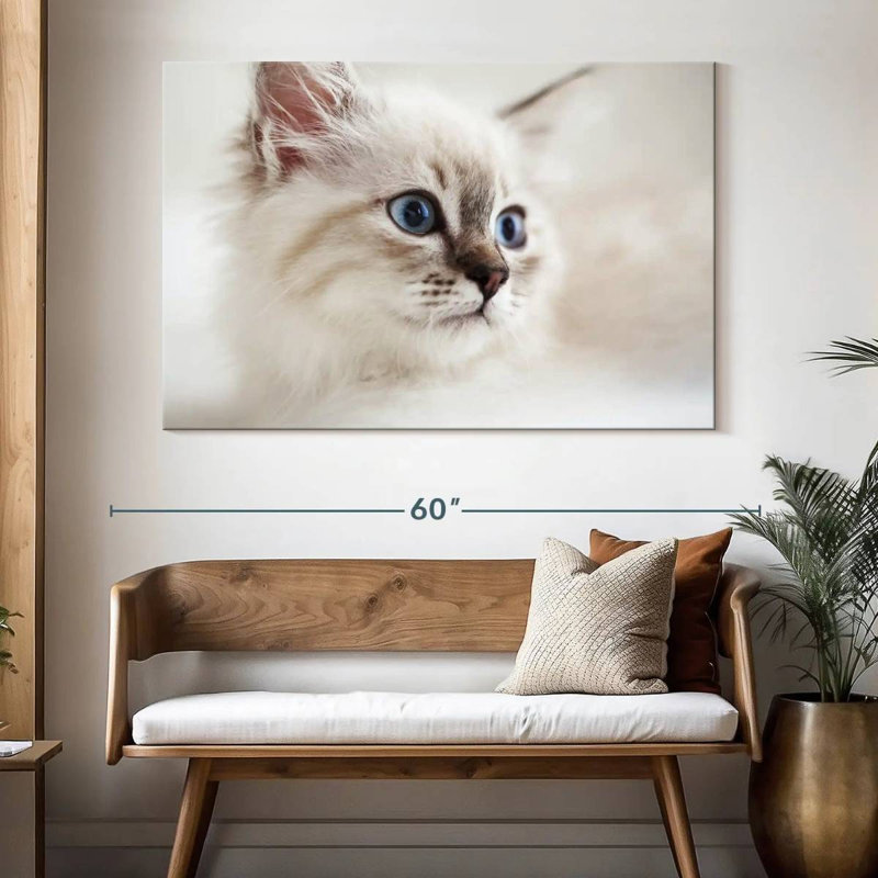 Brampt Neva Masquerade Cat, 34" H x 51" W